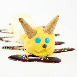 Hummingbird printed sweater